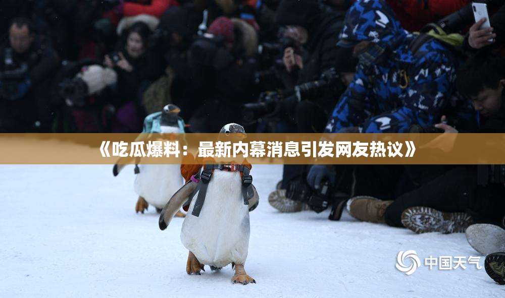 《吃瓜爆料：最新内幕消息引发网友热议》