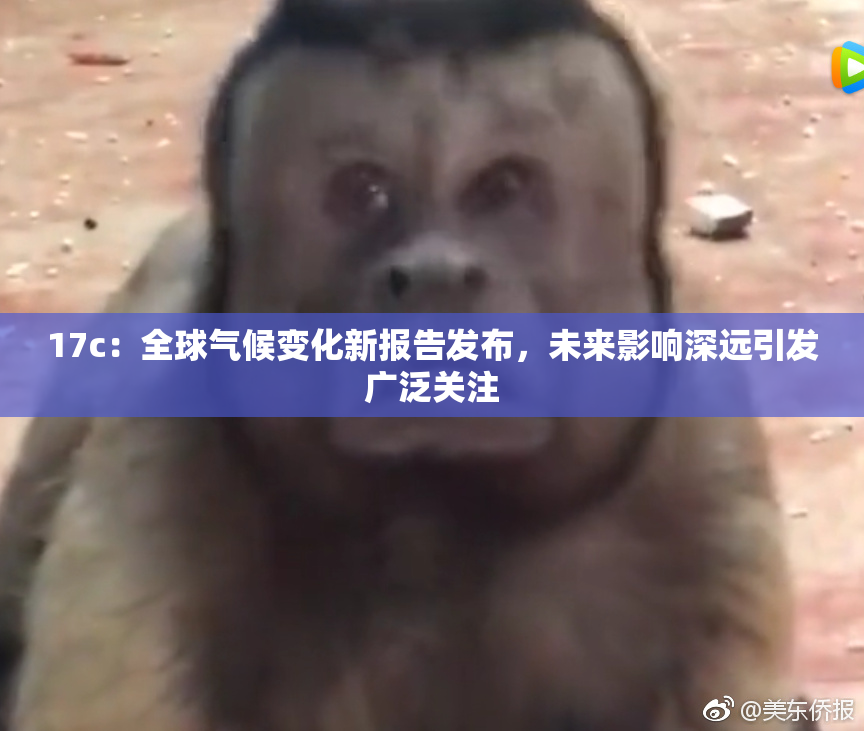 17c：全球气候变化新报告发布，未来影响深远引发广泛关注