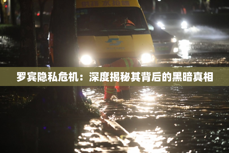 罗宾隐私危机：深度揭秘其背后的黑暗真相