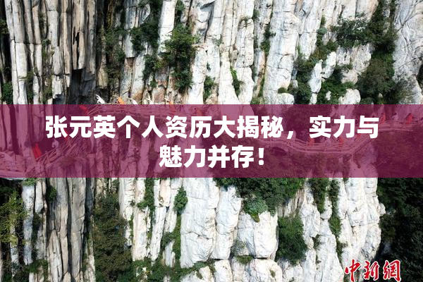 张元英个人资历大揭秘，实力与魅力并存！
