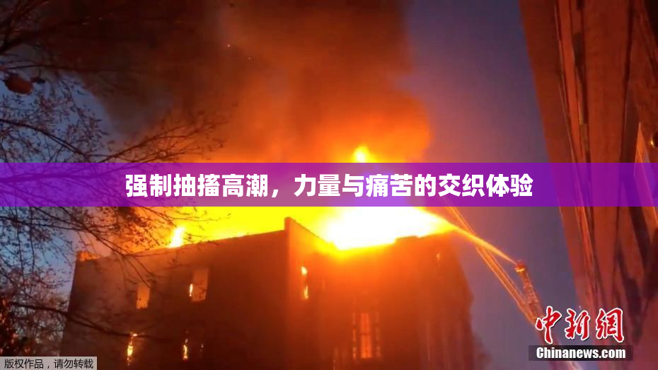 强制抽搐高潮，力量与痛苦的交织体验