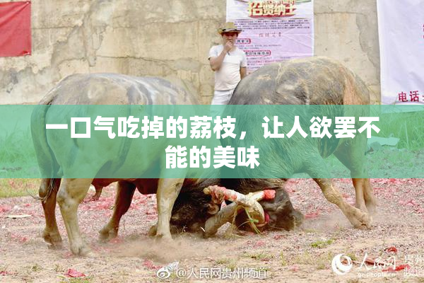 一口气吃掉的荔枝，让人欲罢不能的美味