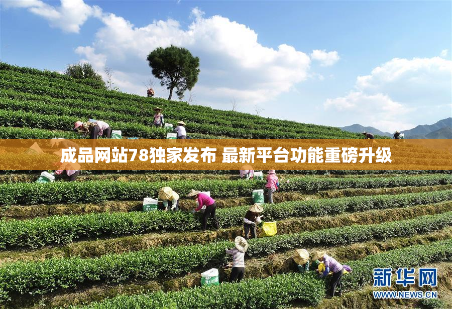 成品网站78独家发布 最新平台功能重磅升级