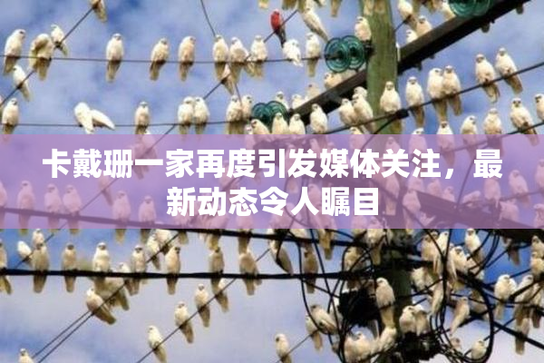 卡戴珊一家再度引发媒体关注，最新动态令人瞩目