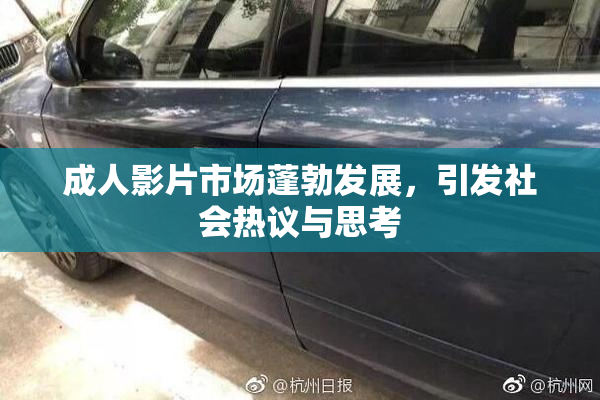 成人影片市场蓬勃发展，引发社会热议与思考