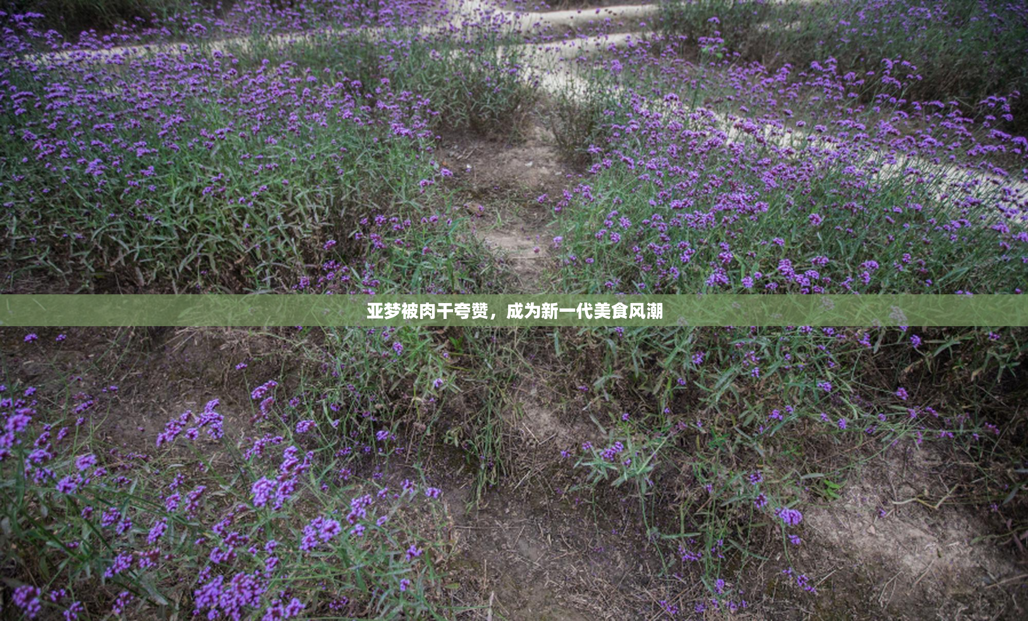 亚梦被肉干夸赞，成为新一代美食风潮
