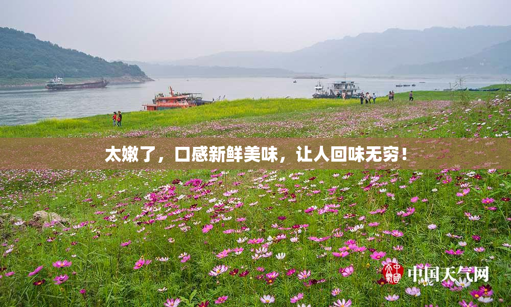 太嫩了，口感新鲜美味，让人回味无穷！