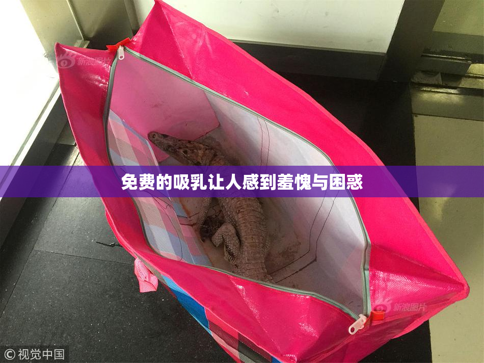 免费的吸乳让人感到羞愧与困惑
