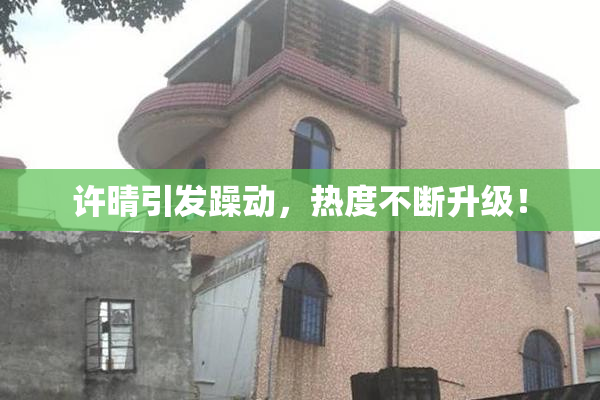 许晴引发躁动，热度不断升级！