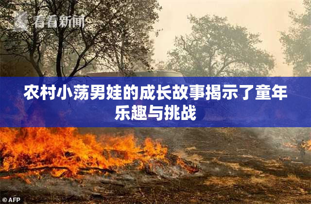 农村小荡男娃的成长故事揭示了童年乐趣与挑战