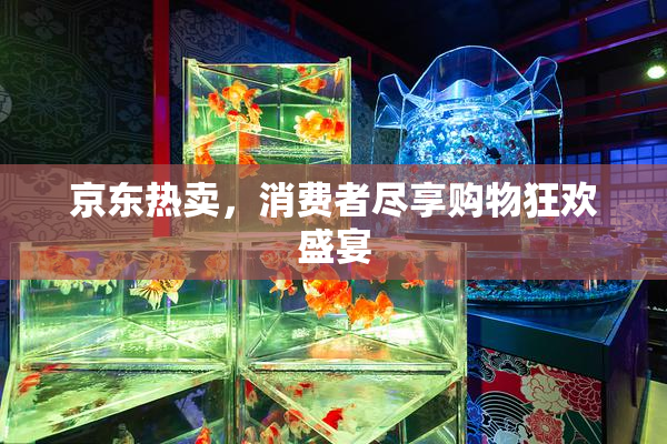 京东热卖，消费者尽享购物狂欢盛宴