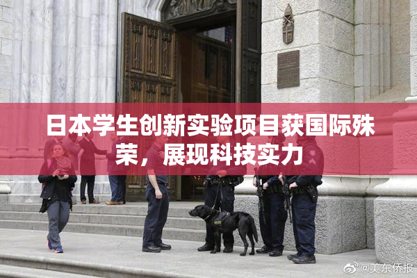 日本学生创新实验项目获国际殊荣，展现科技实力