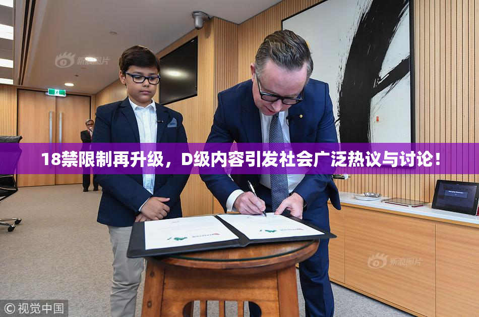 18禁限制再升级，D级内容引发社会广泛热议与讨论！