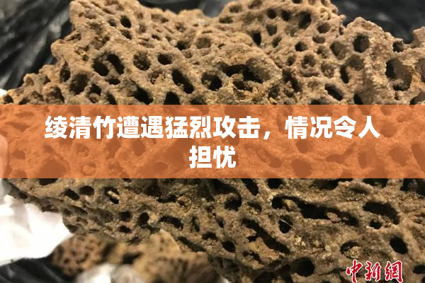 绫清竹遭遇猛烈攻击，情况令人担忧