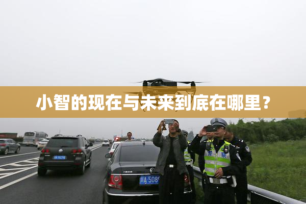 小智的现在与未来到底在哪里？