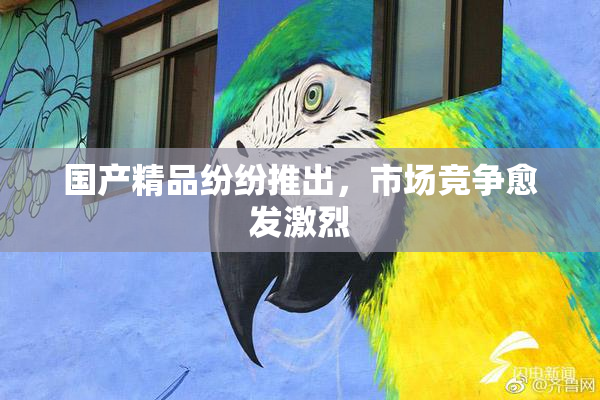 国产精品纷纷推出，市场竞争愈发激烈