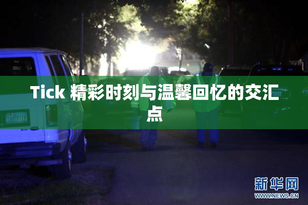Tick 精彩时刻与温馨回忆的交汇点