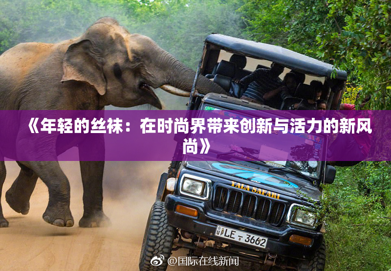 《年轻的丝袜：在时尚界带来创新与活力的新风尚》
