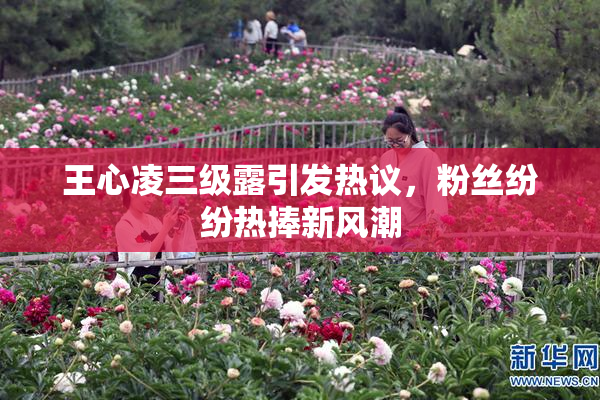 王心凌三级露引发热议，粉丝纷纷热捧新风潮