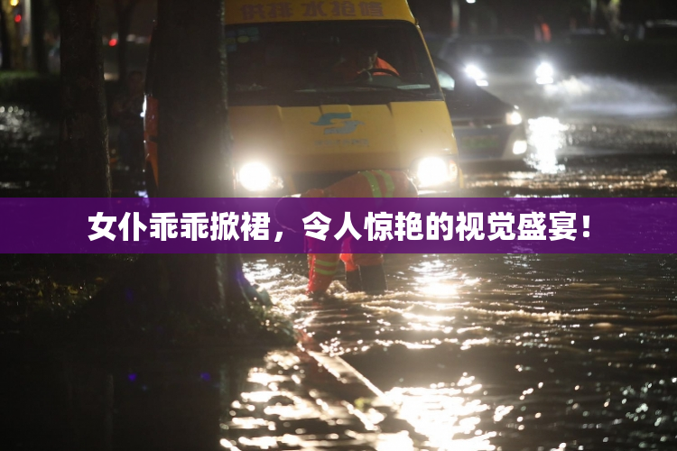 女仆乖乖掀裙，令人惊艳的视觉盛宴！