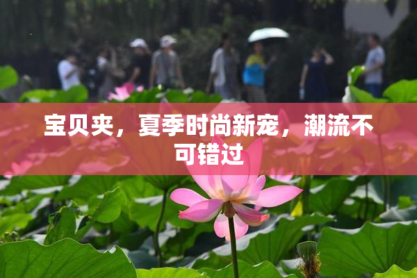 宝贝夹，夏季时尚新宠，潮流不可错过