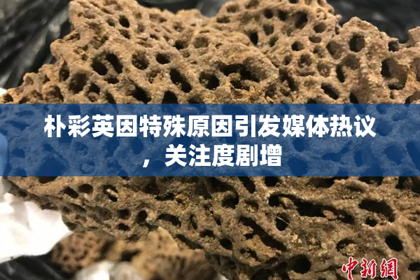 朴彩英因特殊原因引发媒体热议，关注度剧增