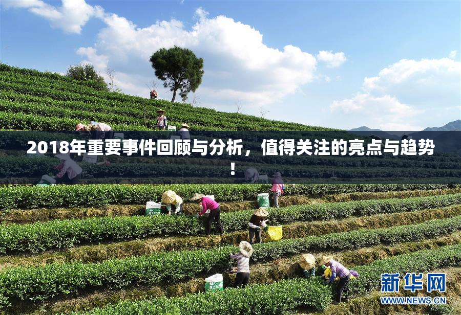 2018年重要事件回顾与分析，值得关注的亮点与趋势！