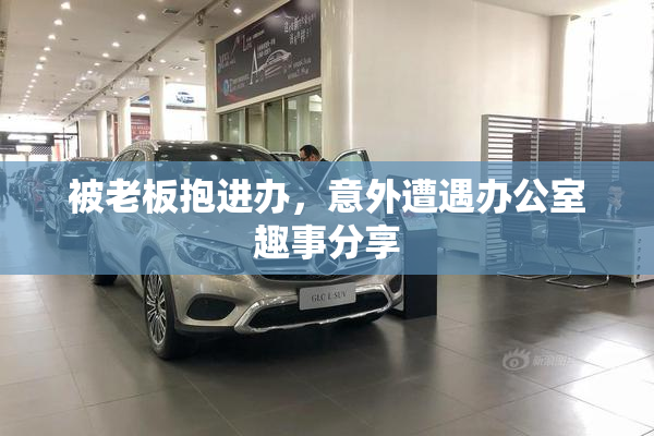被老板抱进办，意外遭遇办公室趣事分享
