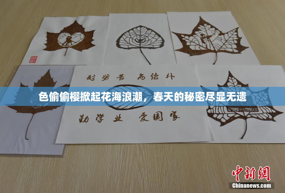 色偷偷樱掀起花海浪潮，春天的秘密尽显无遗
