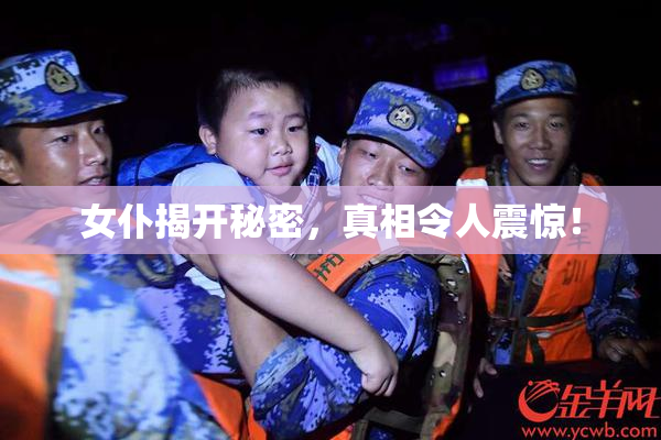 女仆揭开秘密，真相令人震惊！