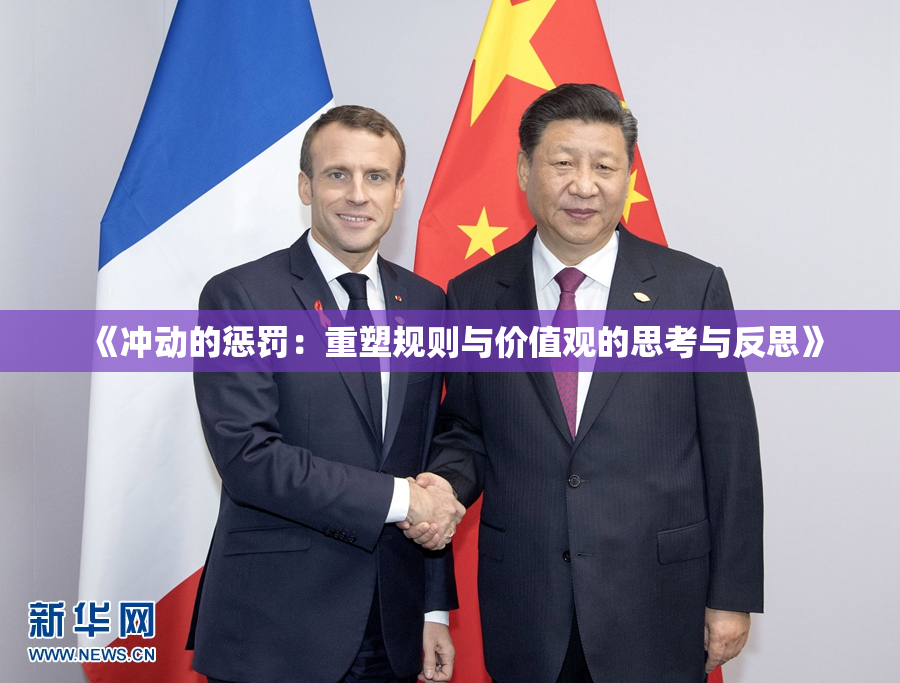 《冲动的惩罚：重塑规则与价值观的思考与反思》