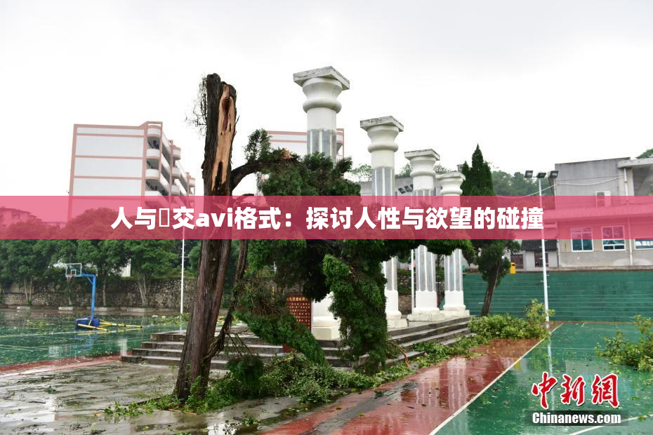 人与嘼交avi格式：探讨人性与欲望的碰撞