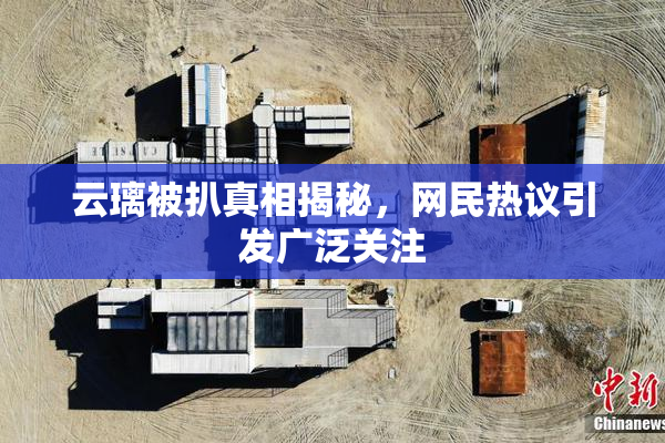 云璃被扒真相揭秘，网民热议引发广泛关注