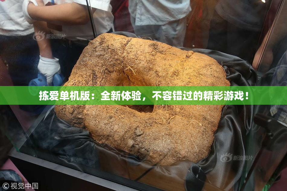 拣爱单机版：全新体验，不容错过的精彩游戏！