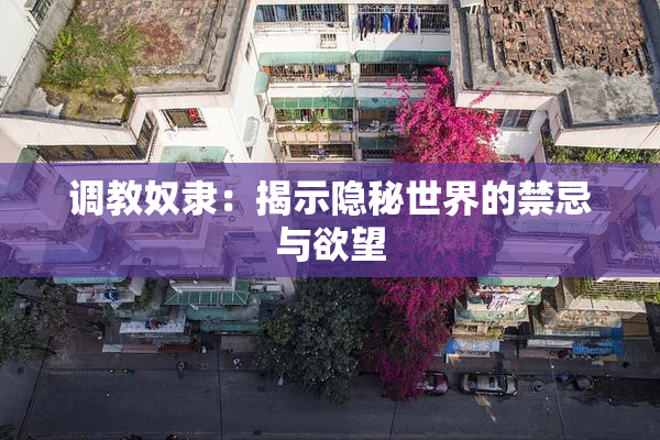 调教奴隶：揭示隐秘世界的禁忌与欲望