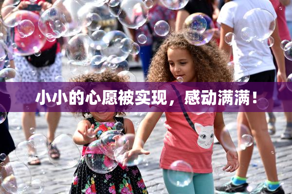 小小的心愿被实现，感动满满！