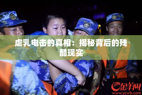 虐乳电击的真相：揭秘背后的残酷现实