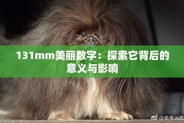 131mm美丽数字：探索它背后的意义与影响