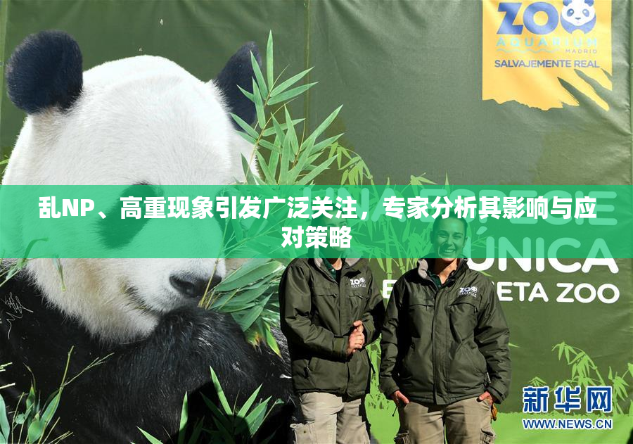 乱NP、高重现象引发广泛关注，专家分析其影响与应对策略