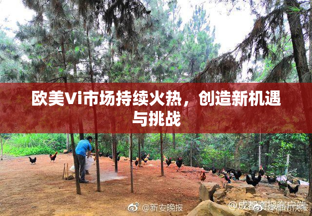 欧美Vi市场持续火热，创造新机遇与挑战