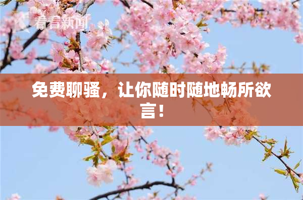 免费聊骚，让你随时随地畅所欲言！