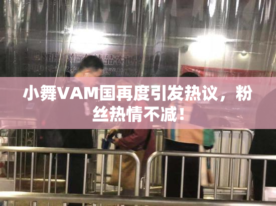 小舞VAM国再度引发热议，粉丝热情不减！