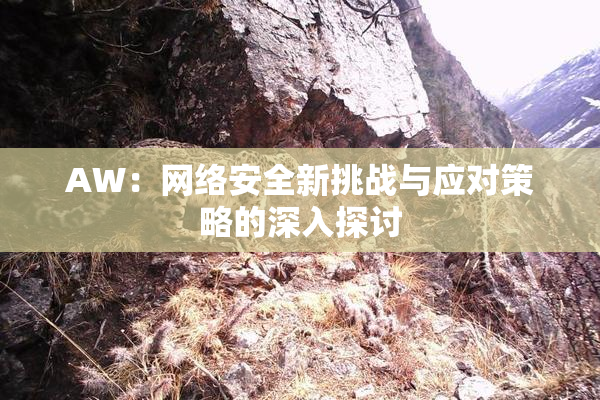 AW：网络安全新挑战与应对策略的深入探讨