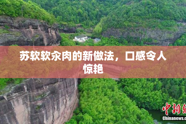 苏软软汆肉的新做法，口感令人惊艳