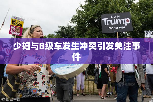 少妇与B级车发生冲突引发关注事件