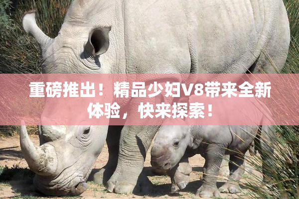 重磅推出！精品少妇V8带来全新体验，快来探索！
