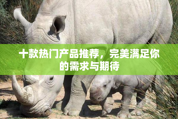 十款热门产品推荐，完美满足你的需求与期待