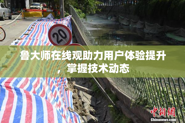 鲁大师在线观助力用户体验提升，掌握技术动态