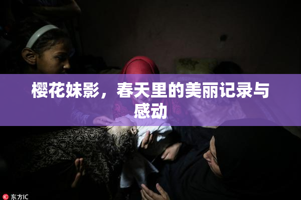 樱花妹影，春天里的美丽记录与感动