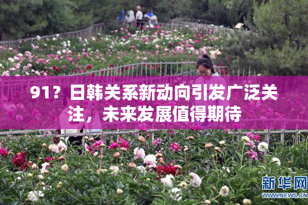 91？日韩关系新动向引发广泛关注，未来发展值得期待
